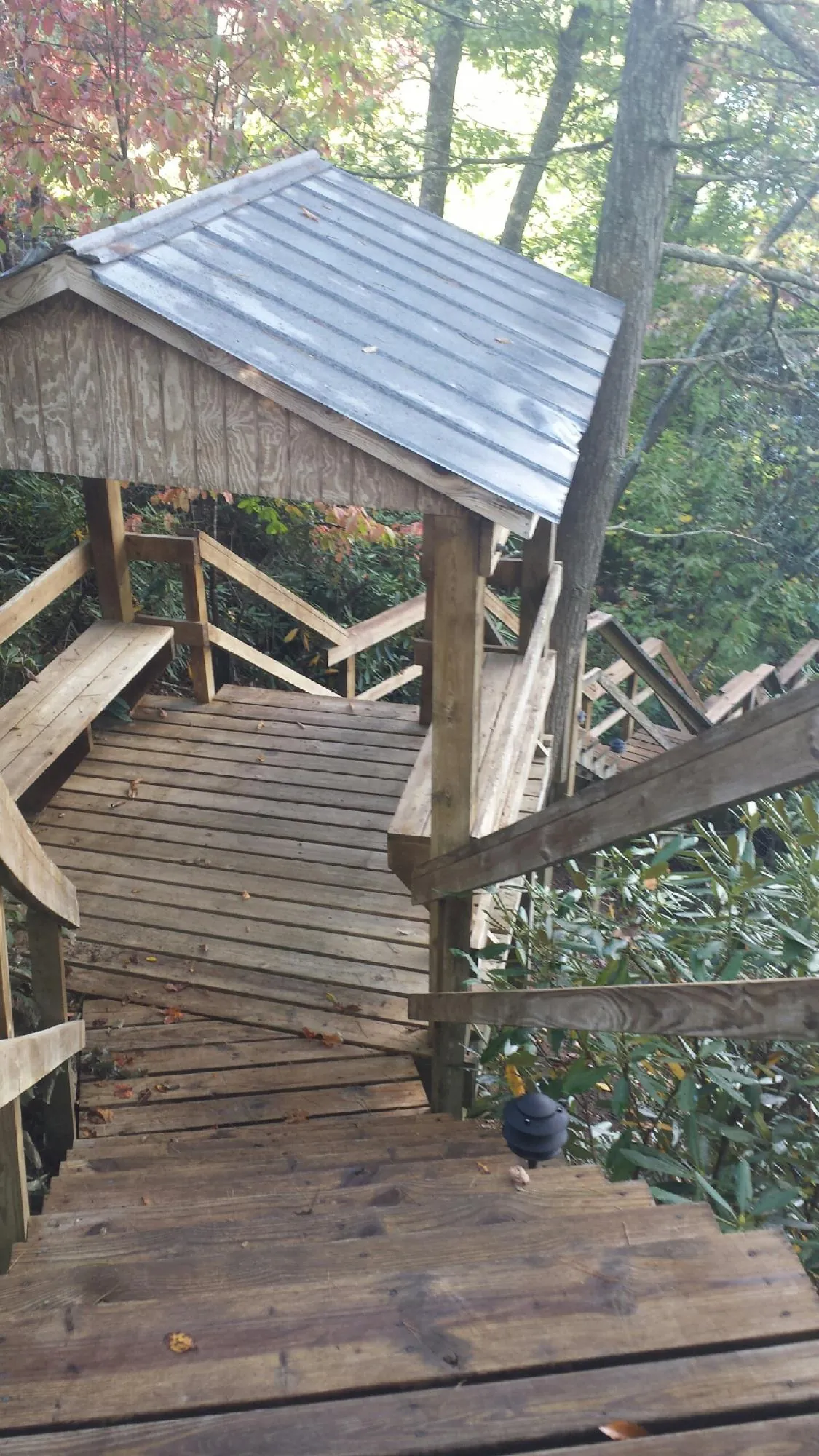 Metal roofed shelter over wooden steps on a wooded walkway — Skylight Repair & Installation work by our crew in Prinsburg